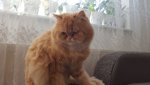 IMG-20171019-WA0027.jpg