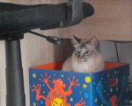 Filou-2.jpg