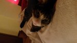 20171022_221133.jpg