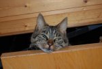 DSC_2883.jpg