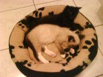 DSC00126.jpg