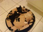 DSC00127.jpg