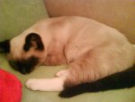 DSC00144.jpg