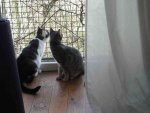 H_E_Fenster1web.jpg