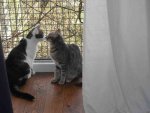 H_E_Fensterweb.jpg