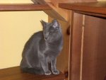 mila3_6406.jpg
