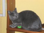 mila4_640.jpg