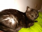 IMG-20161209-WA0007.jpg