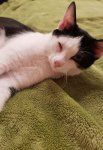 20171225_183124.jpg