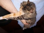 schlafen beim Bauch kraulen.jpg