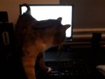 hello world.jpg