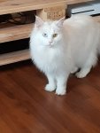 IMG-20180128-WA0001.jpg