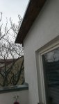 IMG-20180125-WA0000_resized_20180206_020739984.jpeg IMG-20180125-WA0000_resized_20180206_020739984.jpeg