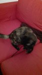 IMG-20180207-WA0002.jpg