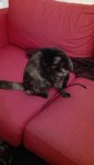 IMG-20180207-WA0003.jpg