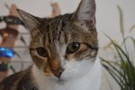 DSC_0187.jpg