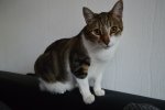 DSC_0040.jpg