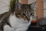 DSC_0182.jpg