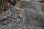 DSC_0057.jpg