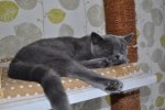 DSC_0073.jpg