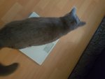20180311_171644.jpg
