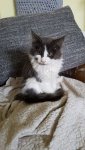 IMG-20180313-WA0006.jpg
