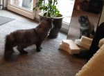 20180401_120215.jpg
