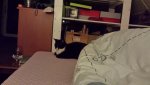 20180403_051830.jpg