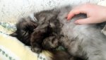 20180404_171907be.jpg