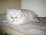 IMG_0022.jpg
