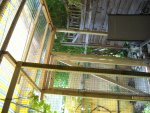 DSCN0099.jpg