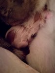 IMG_20180423_032142-min.jpg