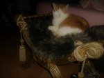 BILD0011.jpg