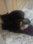 IMG-20180628-WA0004.jpg