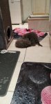 IMG-20180705-WA0002.jpg
