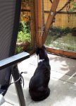 20180708_131851.jpg