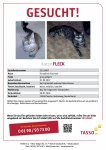 TASSO_Suchplakat_S2332867.jpg