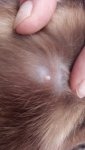 IMG-20180806-WA0000.jpg