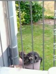 IMG-20180825-WA0008.jpg
