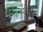 IMG-20180825-WA0011.jpg