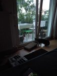 IMG-20180825-WA0010.jpg