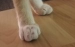 IMG_20180826_215927.jpg