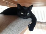 IMG-20180817-WA0009.jpg