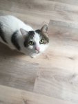IMG-20180912-WA0005.jpg