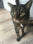 IMG-20180912-WA0006.jpg