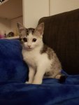 20180924_211015.jpg