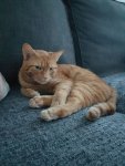20180812_204948.jpg