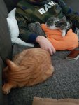 20180926_174933.jpg