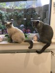 IMG-20181005-WA0009.jpg