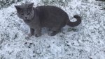 IMG-20181005-WA0008.jpg